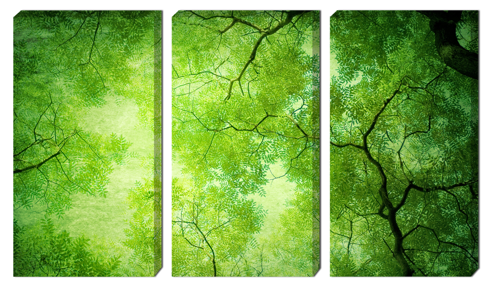 Модульная картина "Деревья"