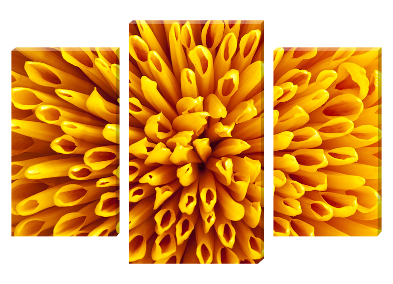 Модульная картина "Желтая хризантема"