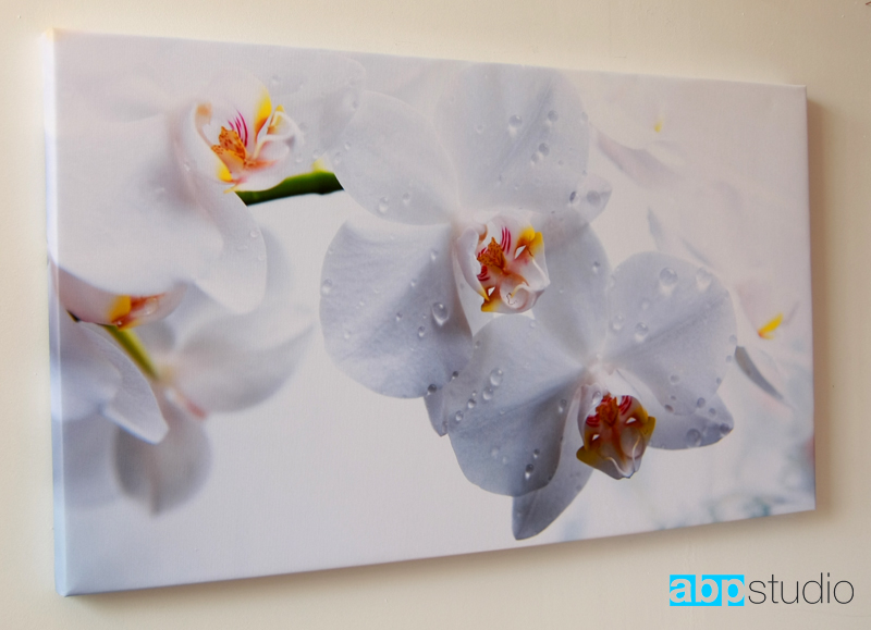 Картина «Белая Орхидея»