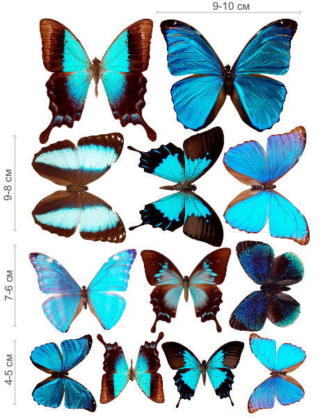 Декор бабочки синие