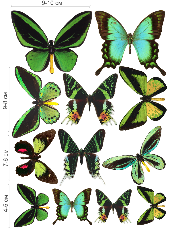 Декор бабочки зеленые