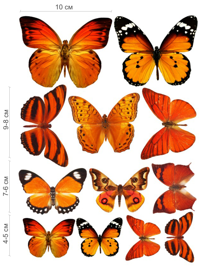 Декор бабочки оранжевые